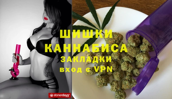 молекула духа Аркадак