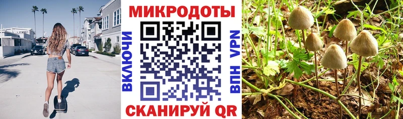 Псилоцибиновые грибы GOLDEN TEACHER  закладки  Сосновка 